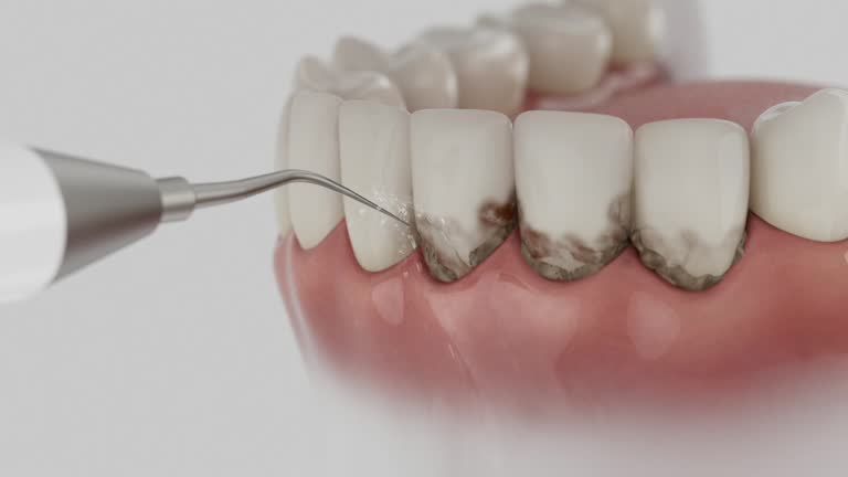 Reliable Dental contractor in Edwardsburg, MI by Dentist Open Now